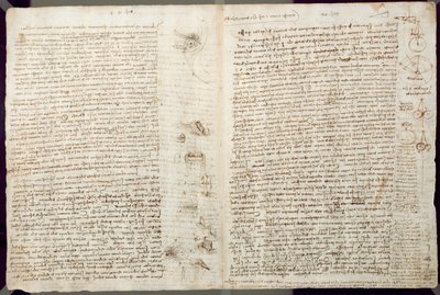 Scientific diagrams, from the Codex Leicester by Leonardo da Vinci